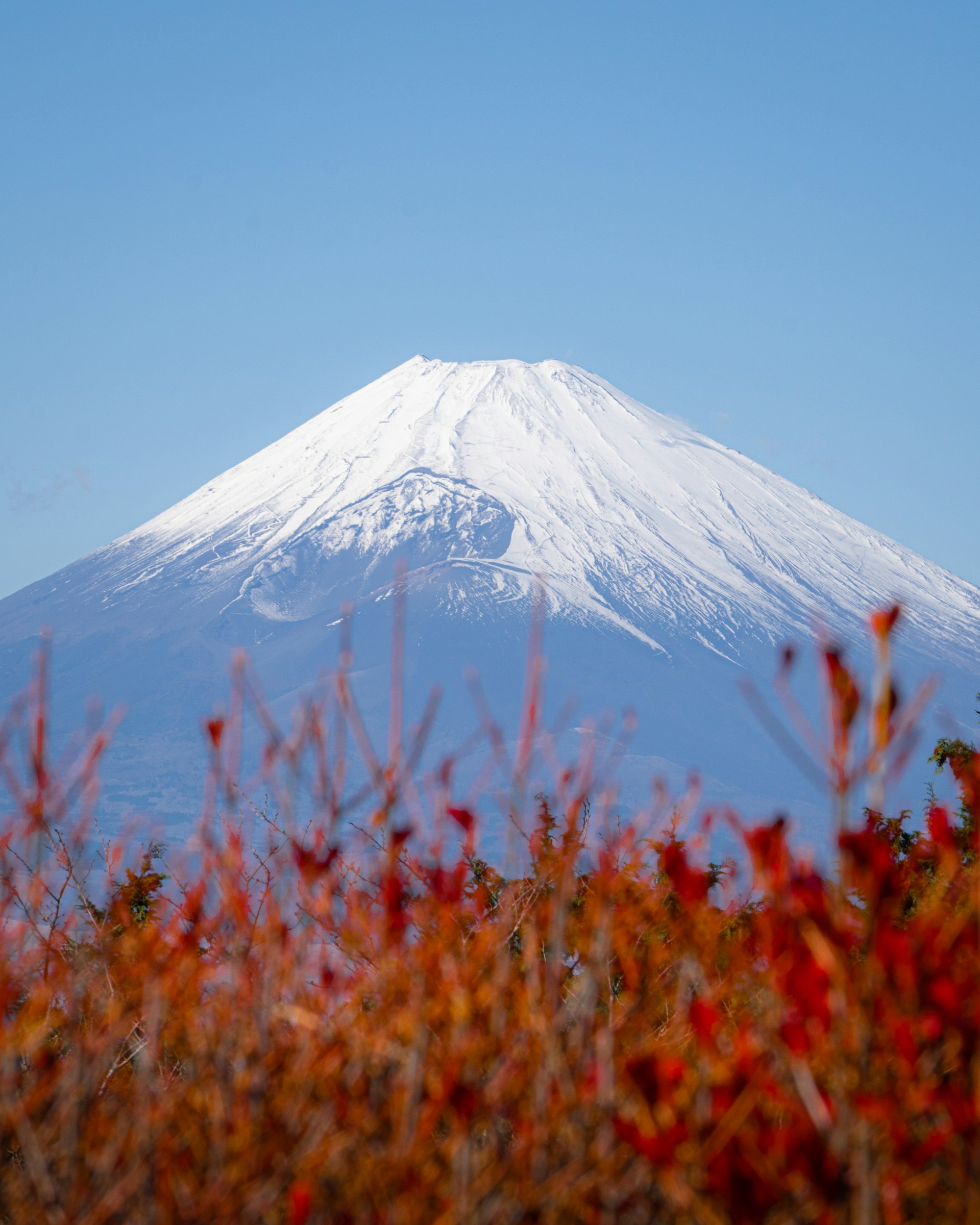 Japon en septembre 2026 : météo, Silver Week et vrai bilan avant de réserver