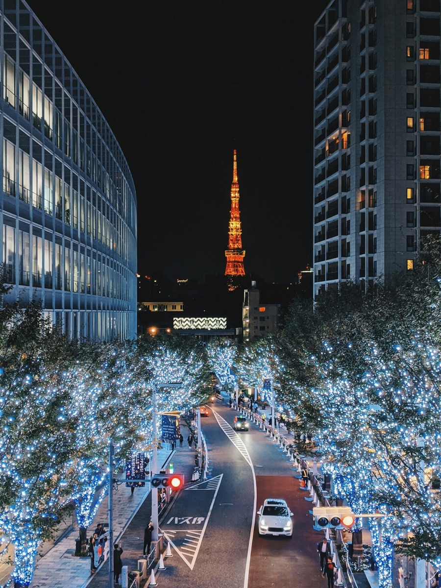 Tokyo Tower lit up at night with Roppongi-area winter illumination in the foreground