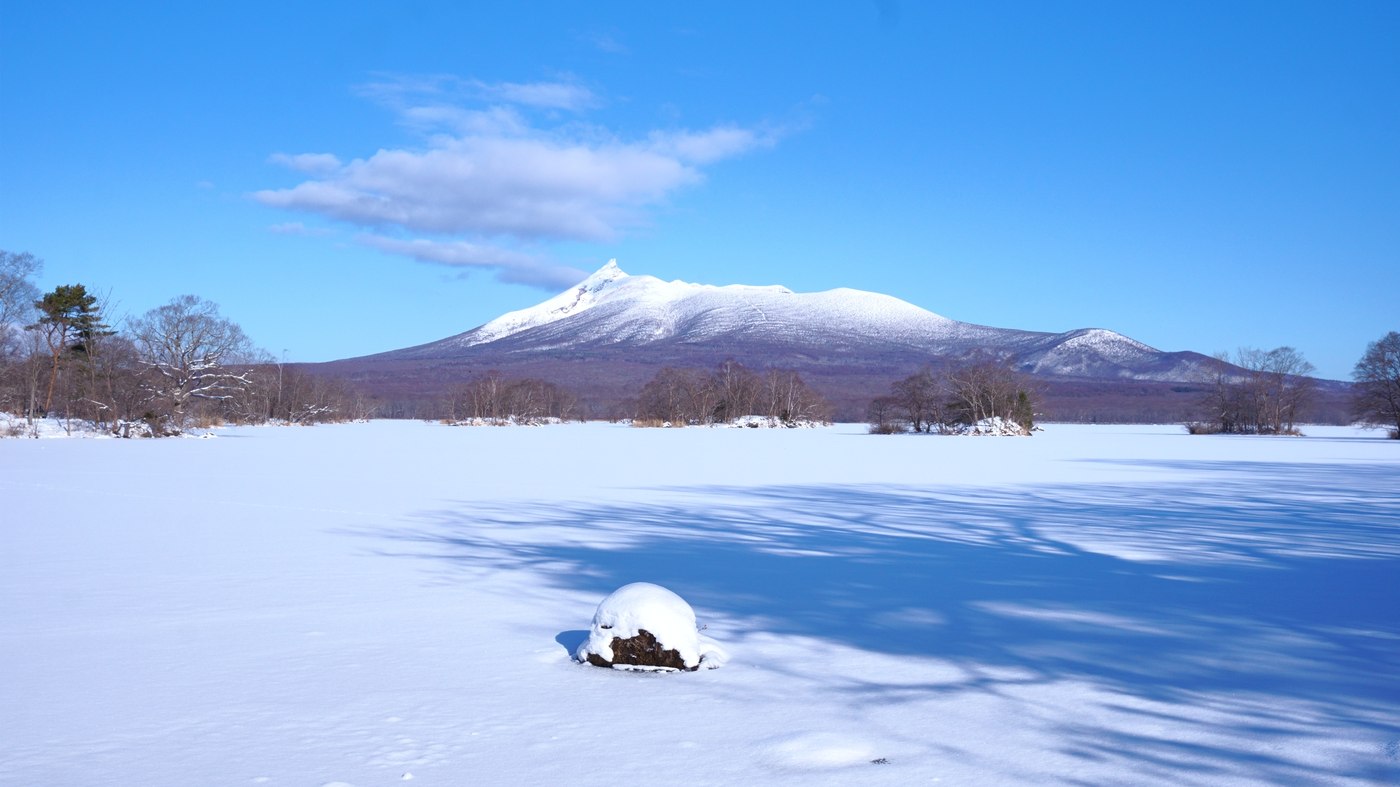 Hokkaido en hiver : le guide complet pour un voyage en liberté