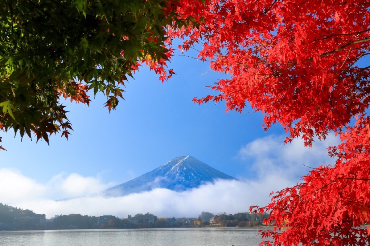 Monte Fuji en otoño 2026: guía para ver las hojas rojas en Kawaguchiko por libre