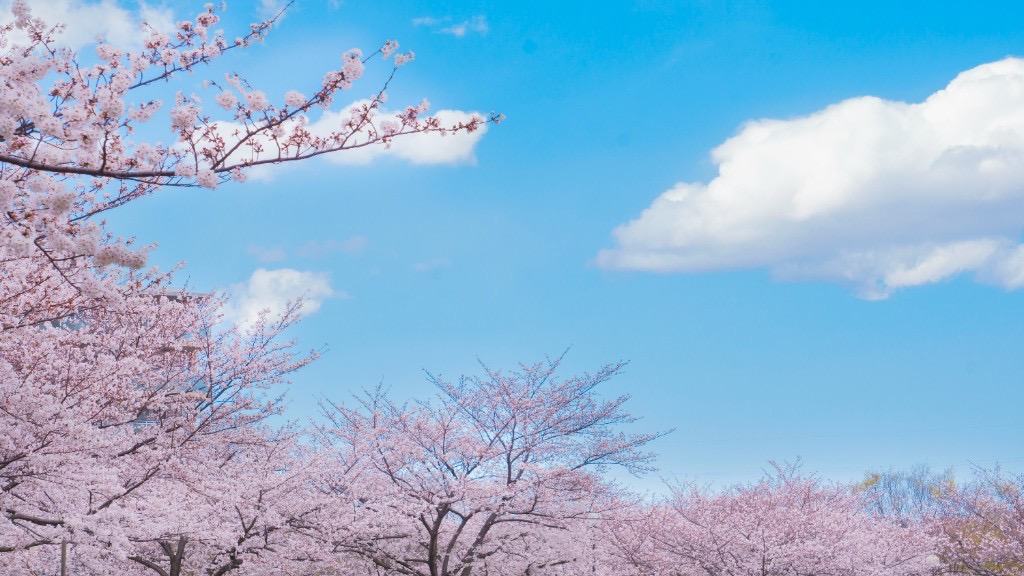 Kirschblüte Japan 2027: Vorhersage, beste Reisezeit und Planung für Selbstreisende