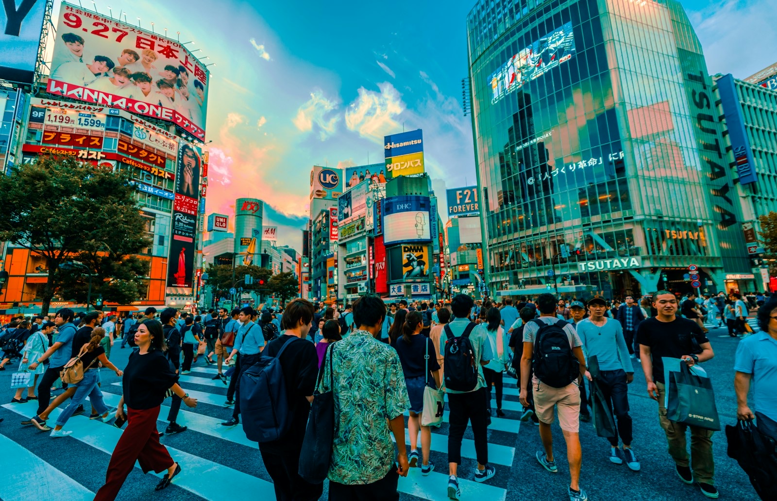 Erdbeben Japan: Sicher reisen trotz Beben – der Leitfaden für Selbstfahrer 2026