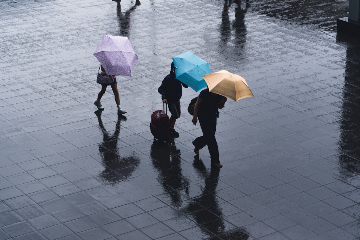 Rain falling on a traditional Kyoto street, with shopkeepers and pedestrians under clear plastic umbrellas