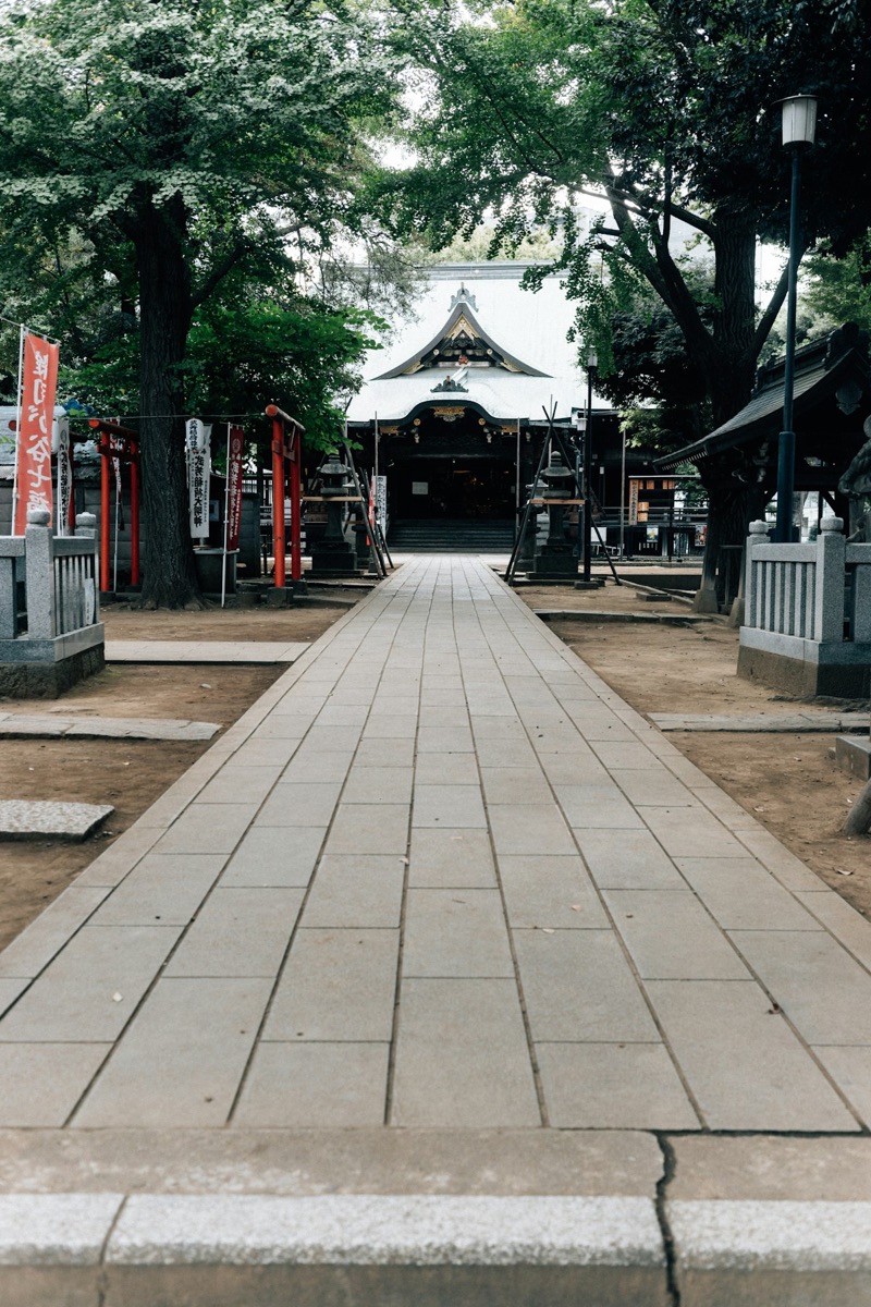 A quiet stone path leading to a traditional Japanese temple in Kyoto, with very few tourists in early June