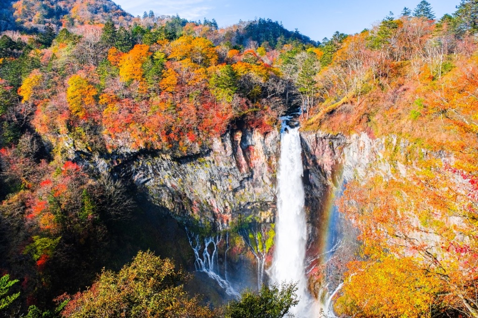 Japón en noviembre 2026: la mejor guía para viajar en otoño y ver el momiji