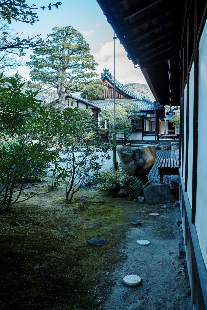 A traditional Kyoto temple moss garden with a stone path glistening green after rainfall