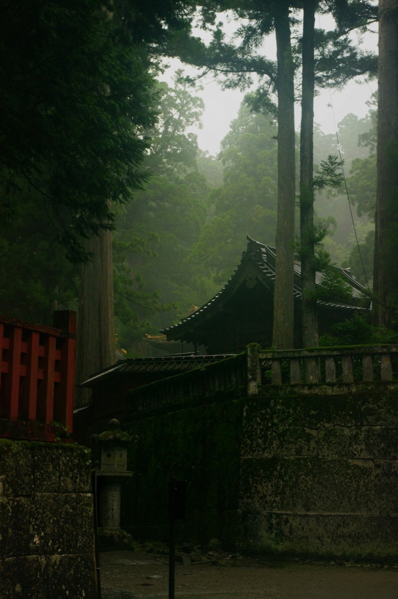 A Japanese temple shrouded in misty cedar trees with moss-covered stone, near Nikko