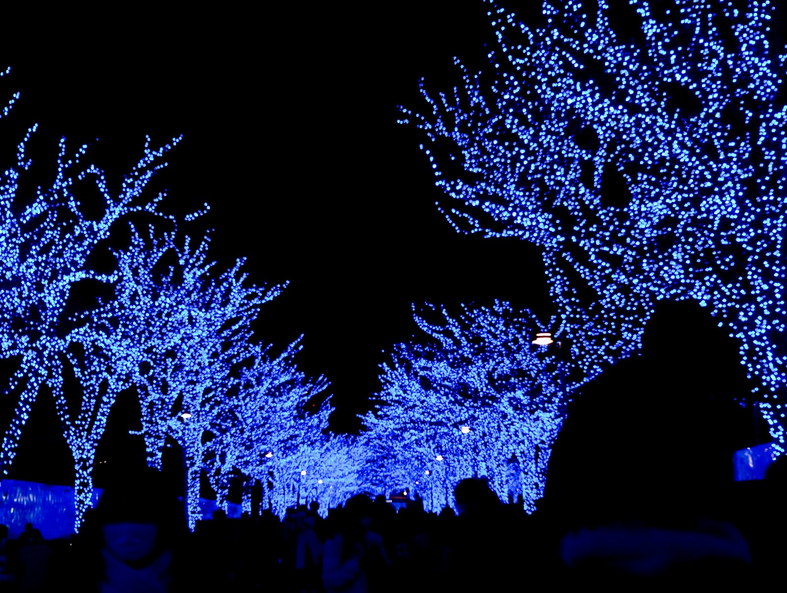 Noël au Japon 2026 : illuminations, traditions et itinéraire pour un voyage libre