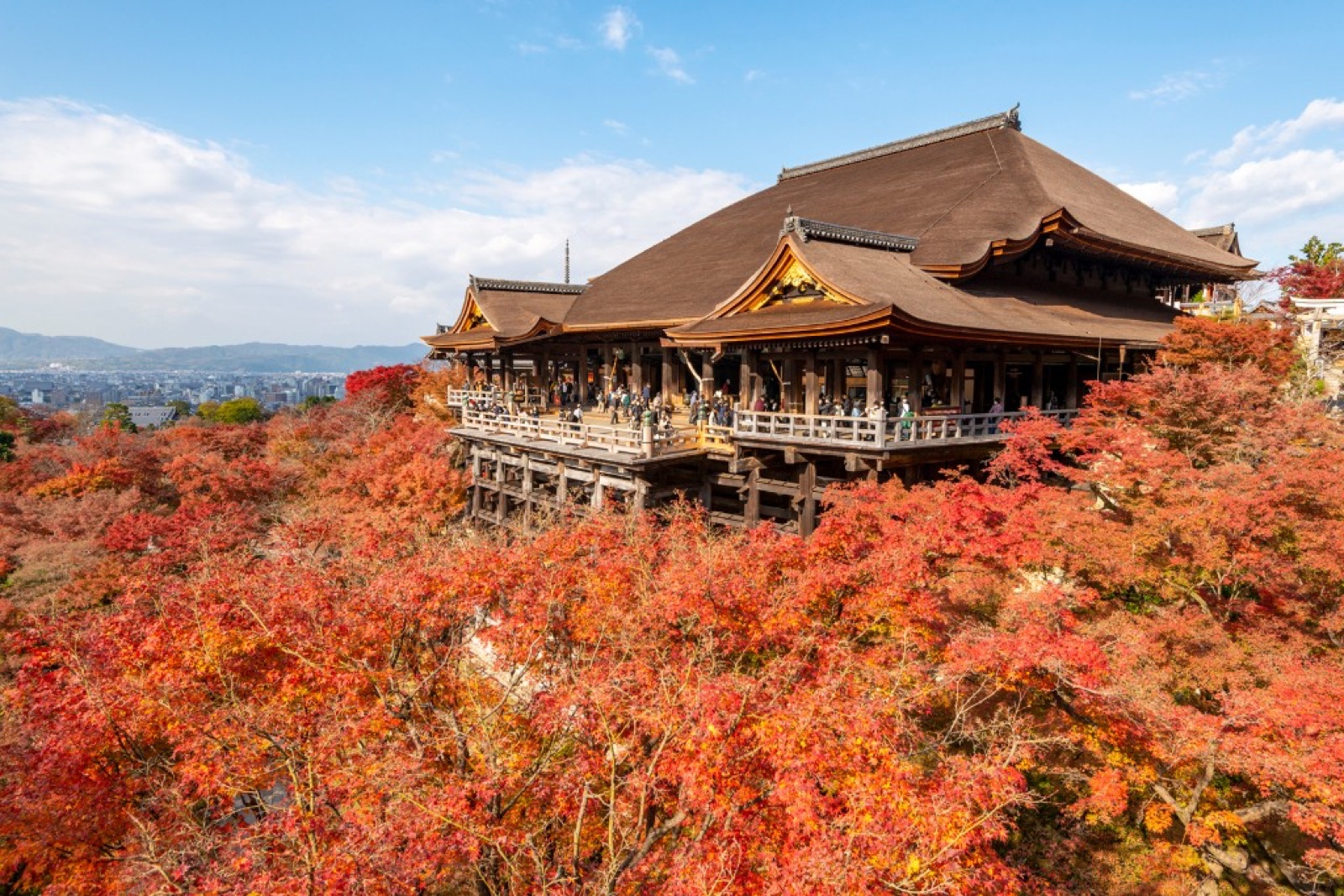 Kyoto Herbst 2026: Der praktische Guide für Herbstlaub und abendliche Illuminationen