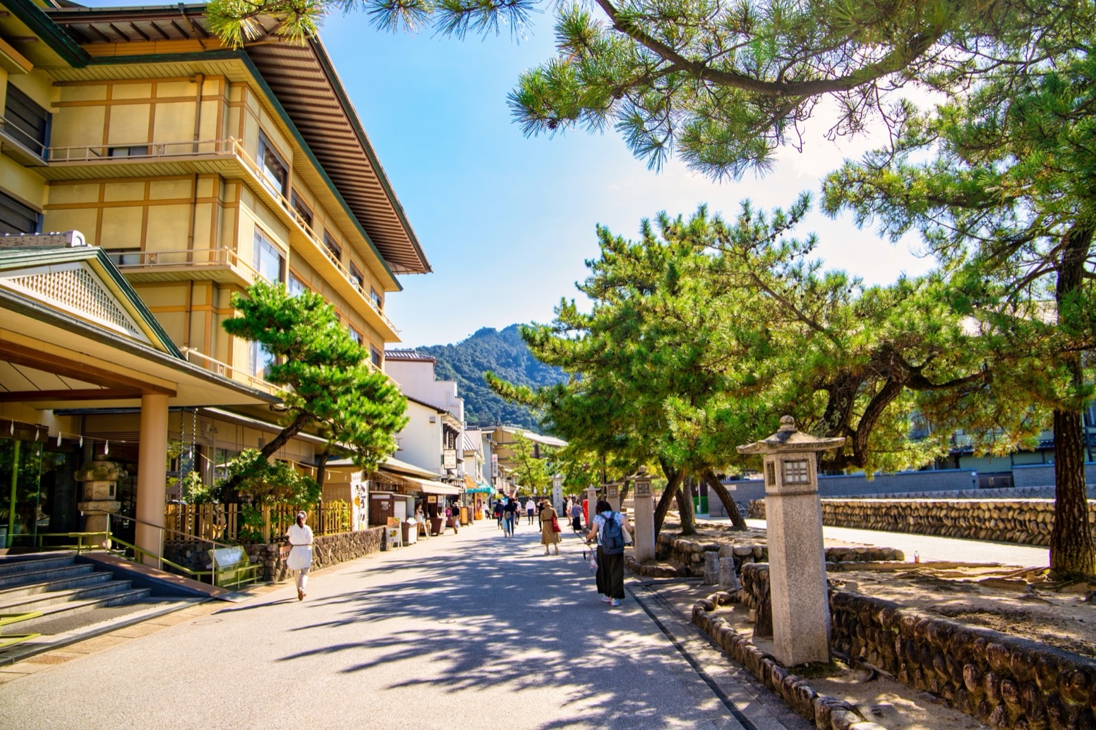 The pine-lined shopping street on Miyajima Island leading up from the ferry pier