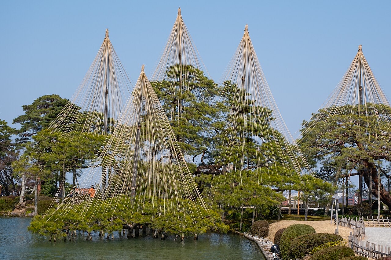 Ropes arranged in tall cones supporting pine branches beside a pond in Kenrokuen Garden