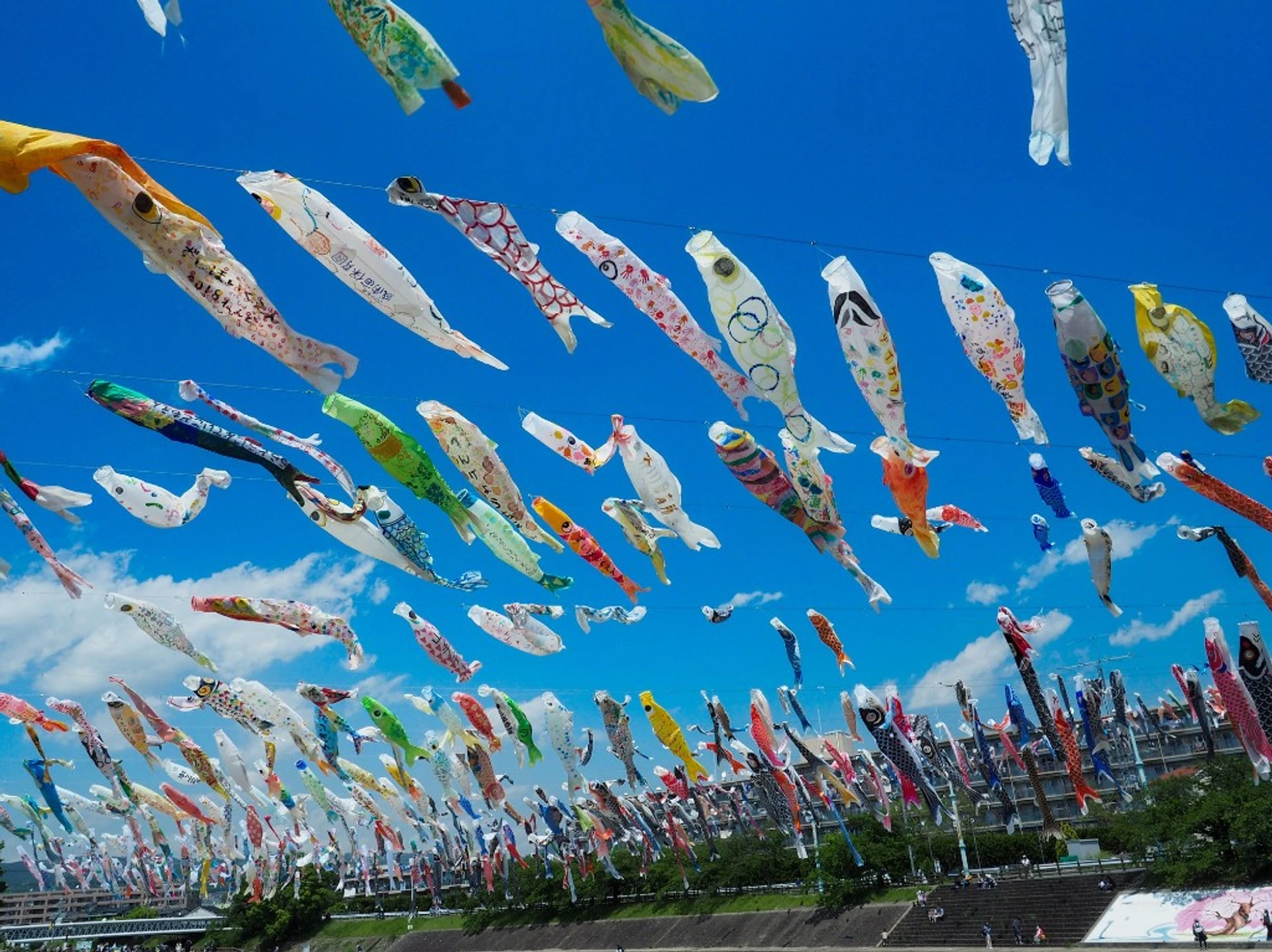 Koinobori carp streamers flying against a clear blue sky