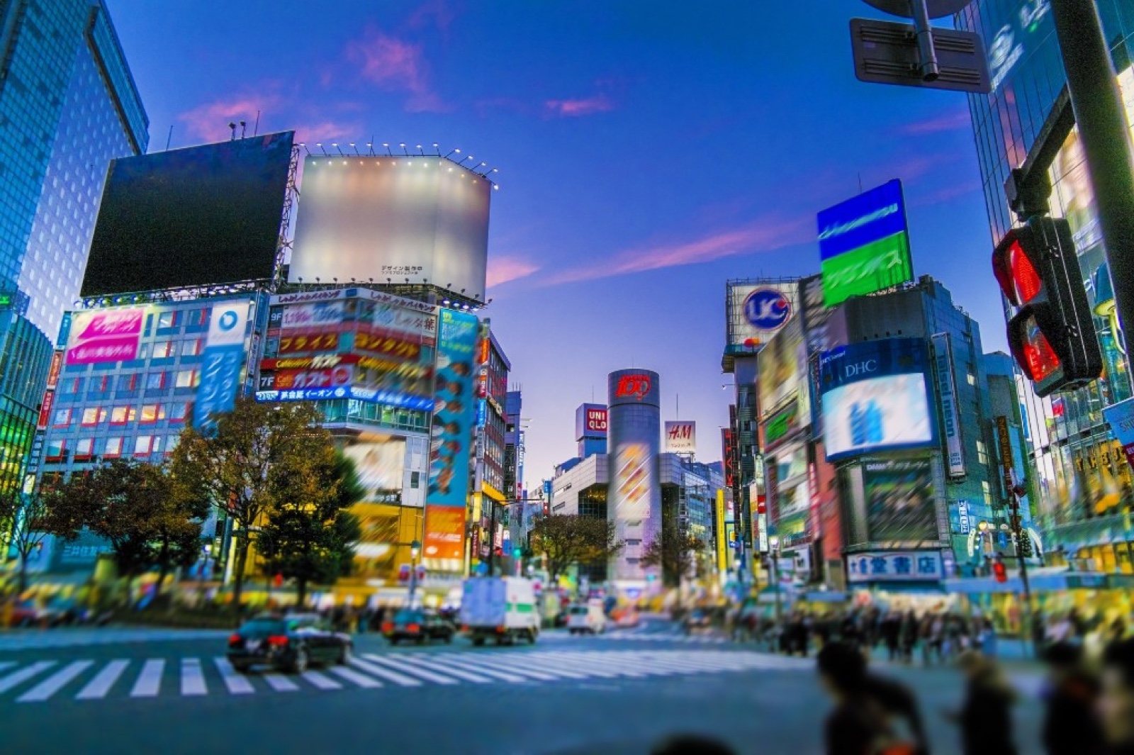 Dónde alojarse en Tokio: guía honesta por barrios para viajeros españoles