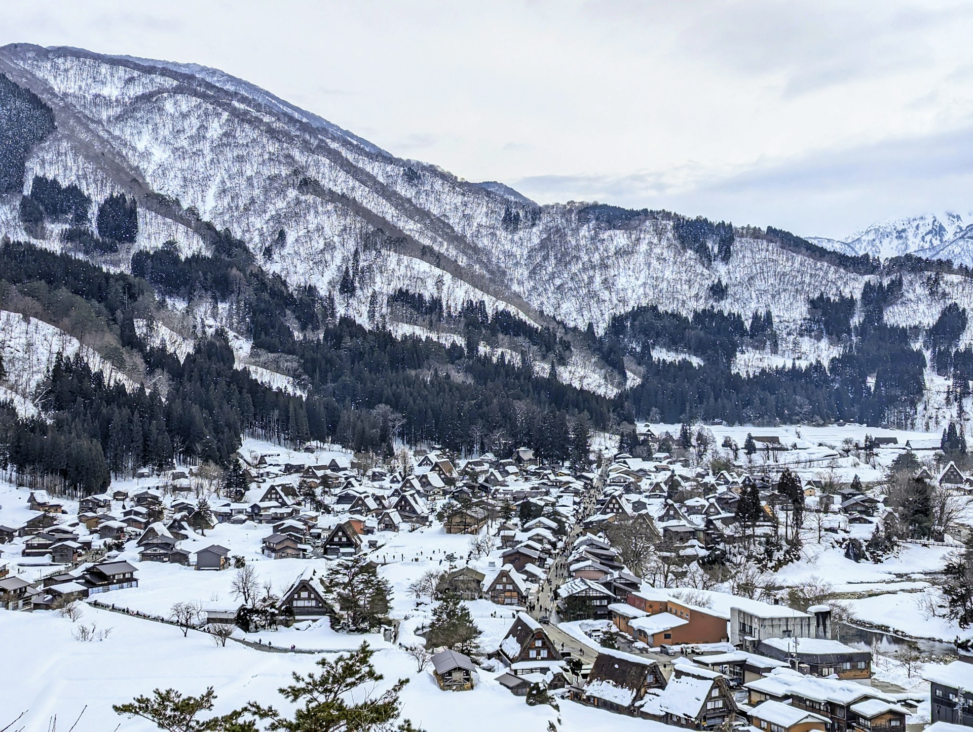 Japon en hiver 2026-2027 : le guide pratique pour un voyage sous la neige