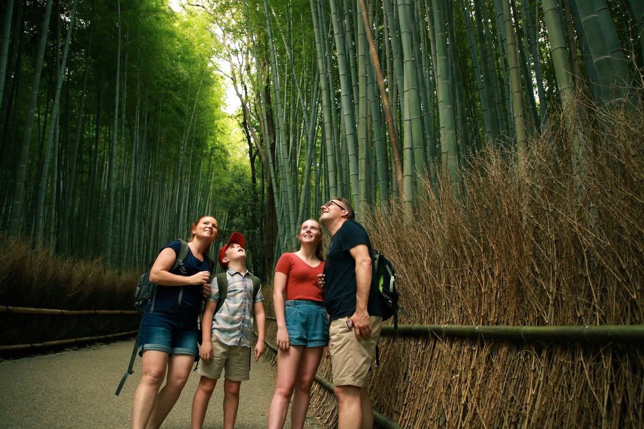 Family Holidays: Shared Journey Through Japan's Classics | BluePlanet