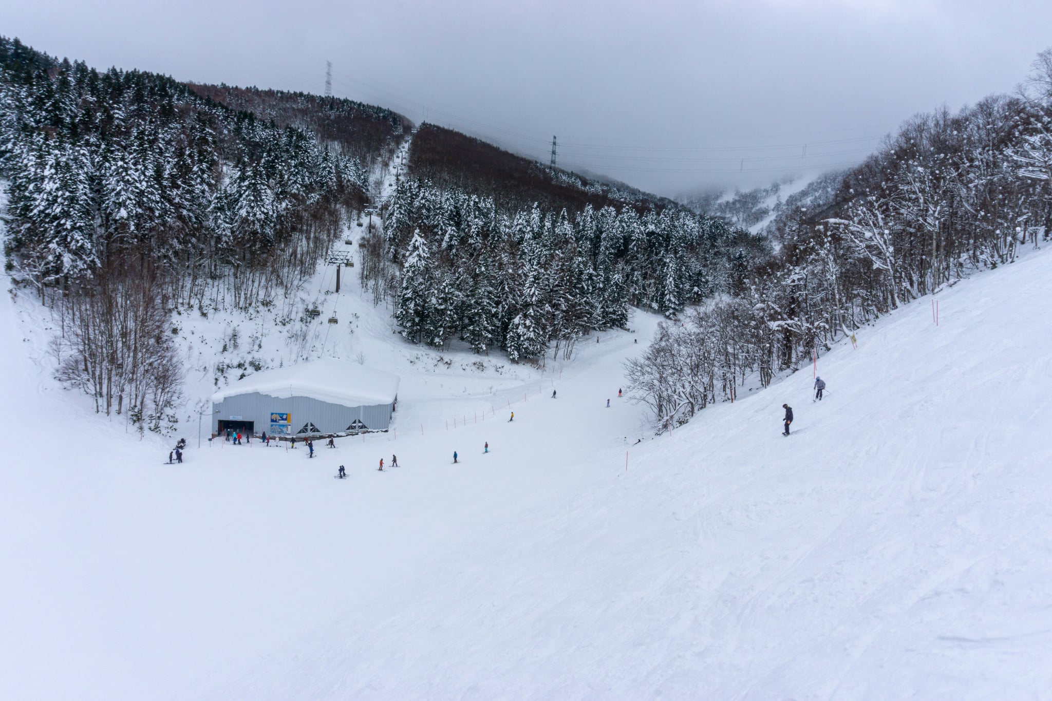Skiers and snowboarders descending a groomed slope between snowy trees at Rusutsu