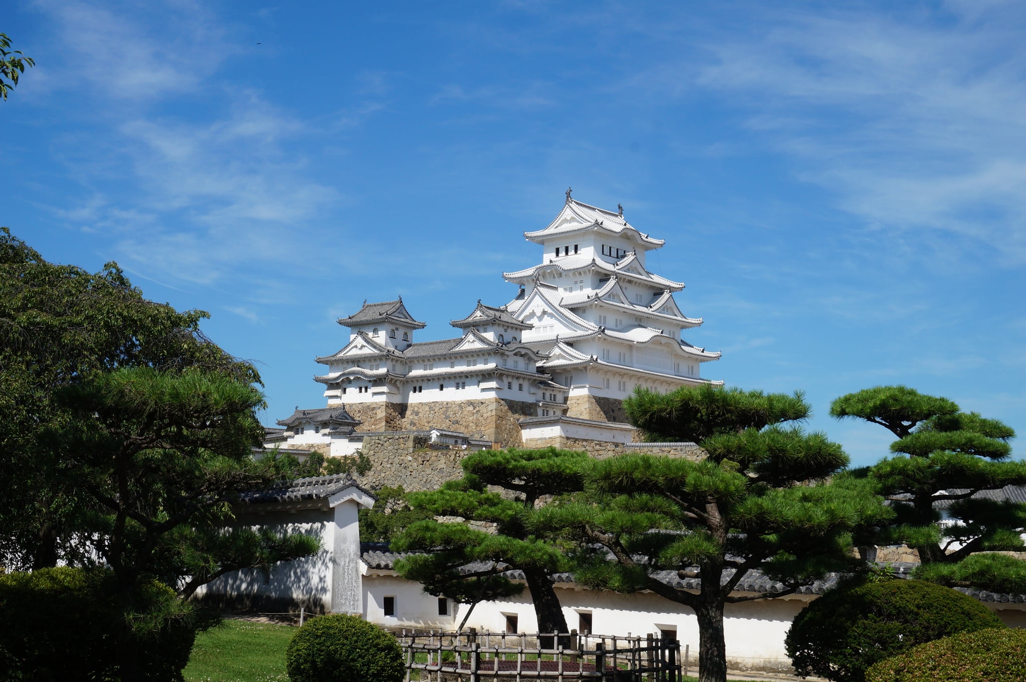 Himeji Castle rising above pines and white walls