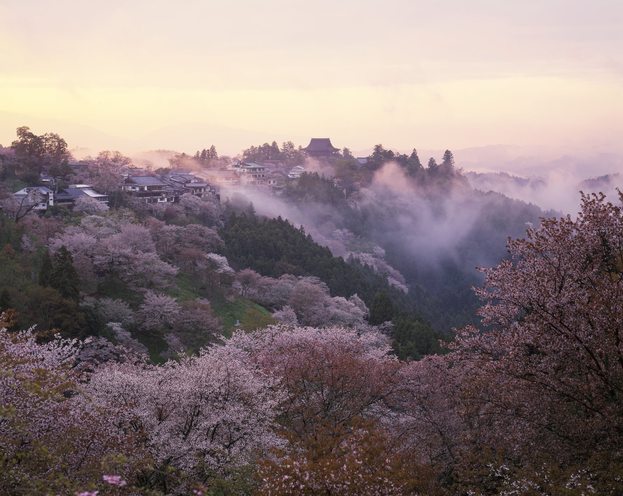 Monte Yoshino (Nara): cuándo ir, cómo subir y por qué dormir arriba